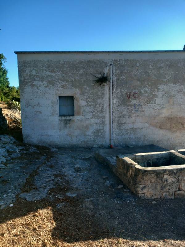  - foto 5