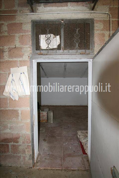  - foto 4
