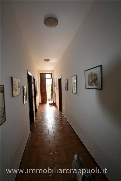 Casa indipendente Trequanda, Trequanda