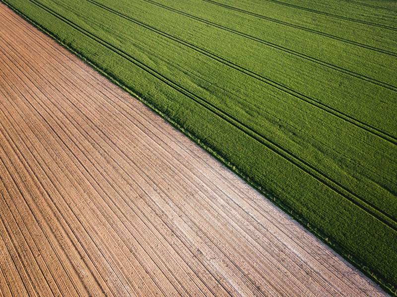 Terreno agricolo Signoressa, Trevignano