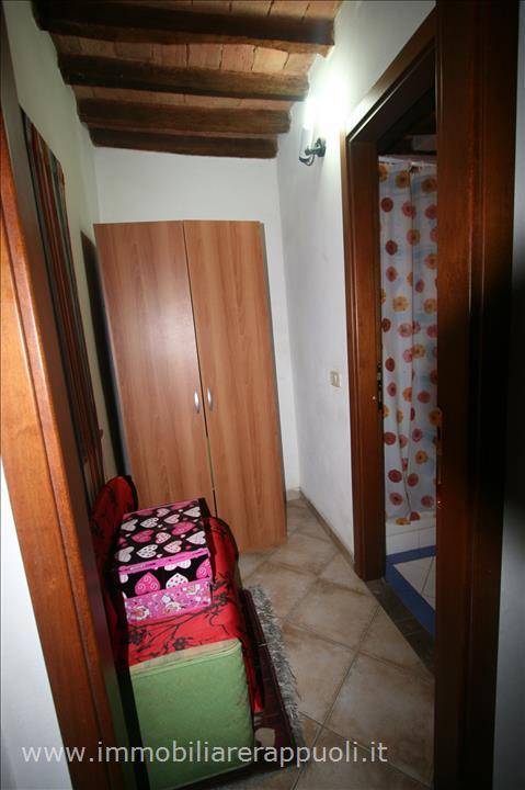  - foto 5
