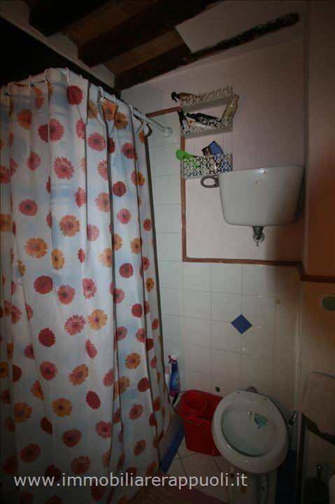  - foto 7
