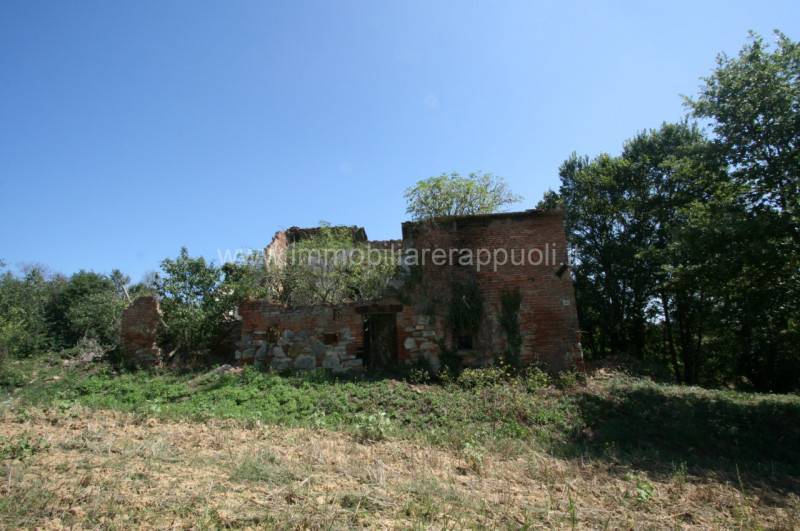  - foto 10