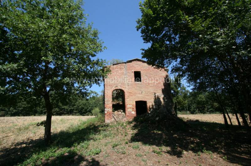 - foto 7