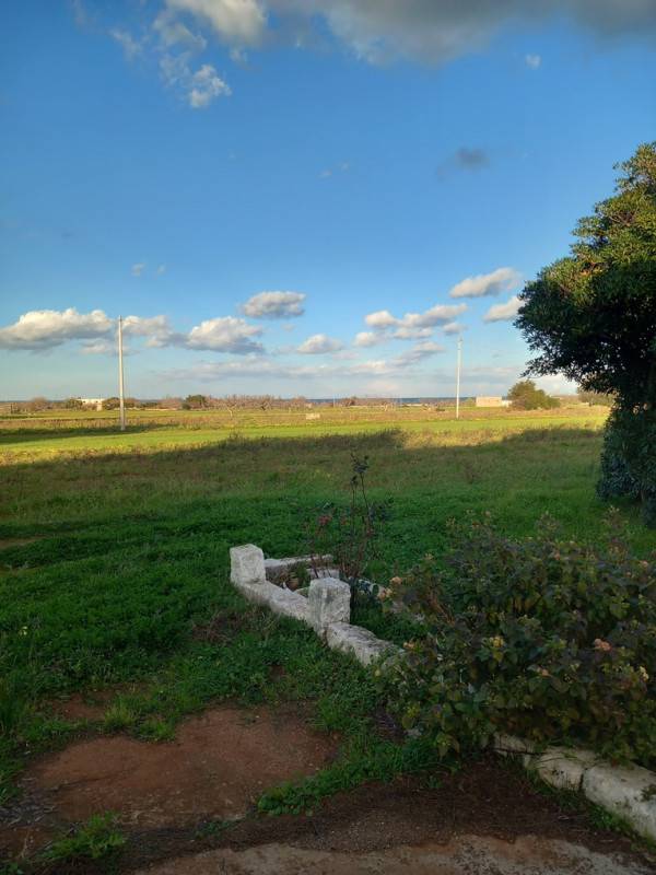  - foto 3
