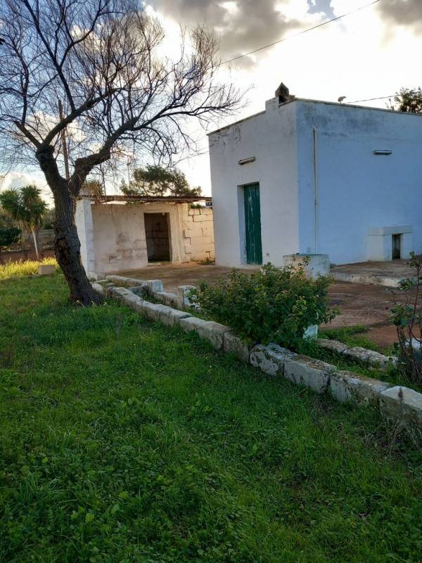  - foto 5