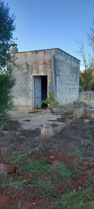  - foto 5
