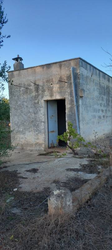  - foto 7