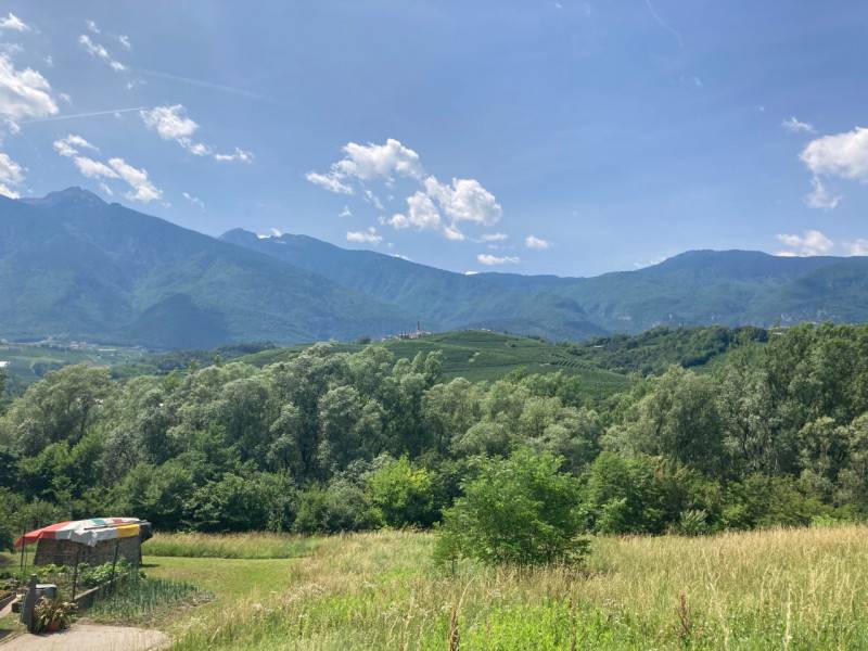  - foto 2