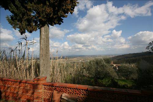 Rustico Scrofiano, Sinalunga