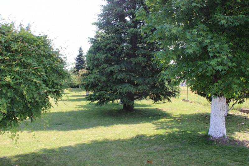  - foto 4