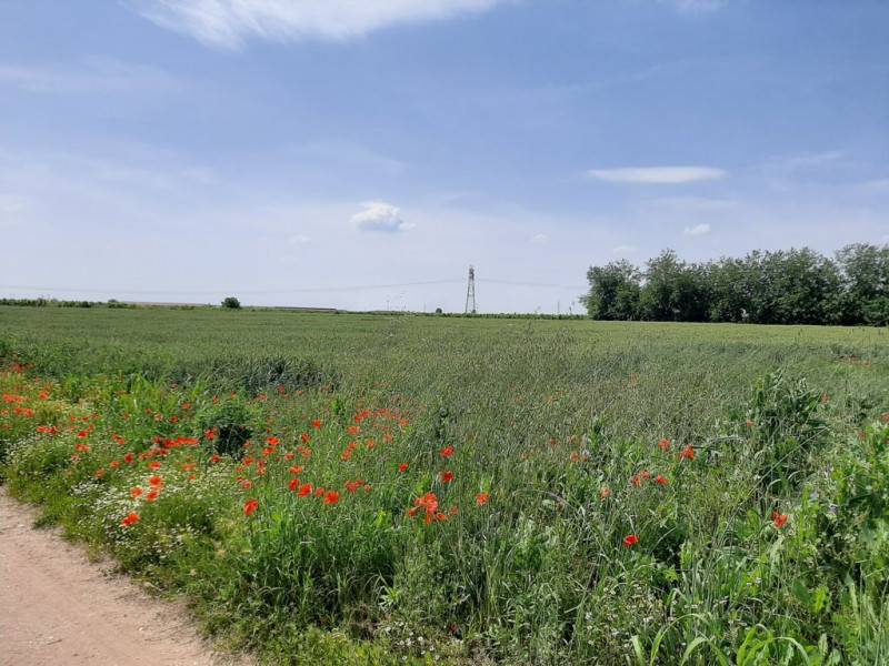 Terreno agricolo, Valeggio sul Mincio