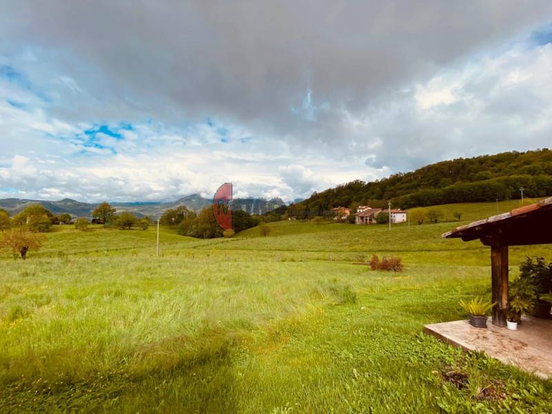 Rustico Massignani, Valdagno
