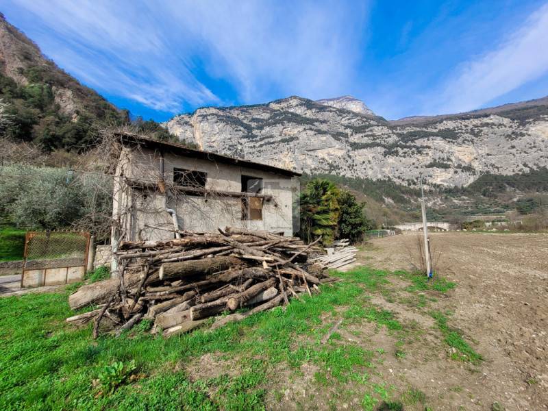 Rustico Ceniga, Dro