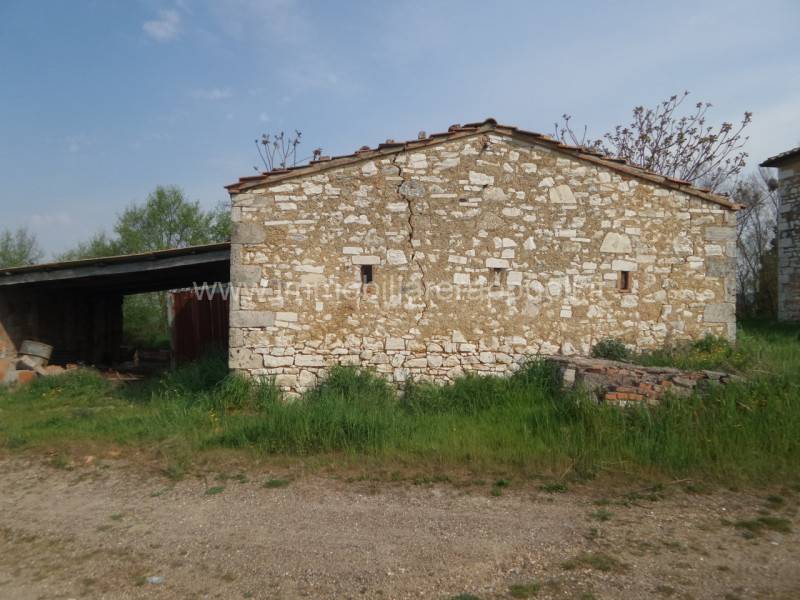  - foto 7