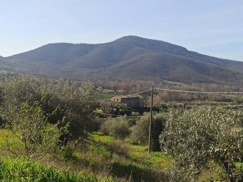  - foto 8