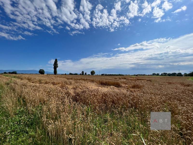 Terreno agricolo Facca, Cittadella