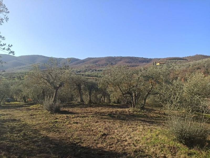  - foto 6