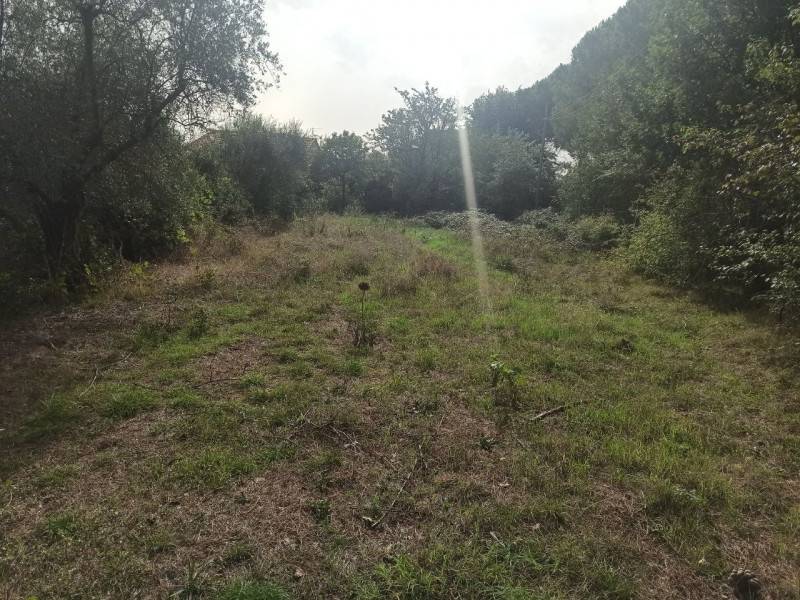 Appartamento Castiglione del Lago, Castiglione del Lago