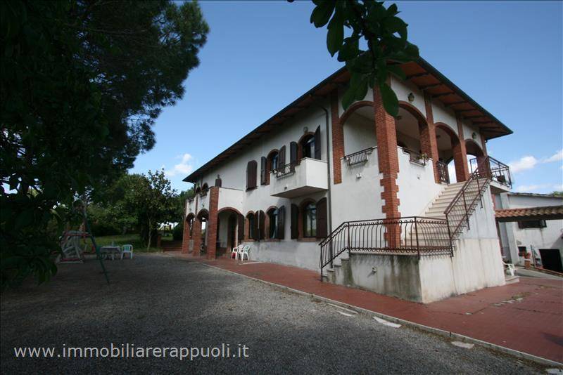  - foto 2