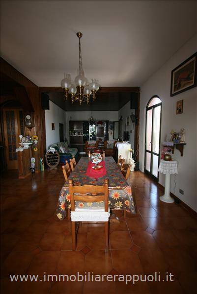  - foto 5