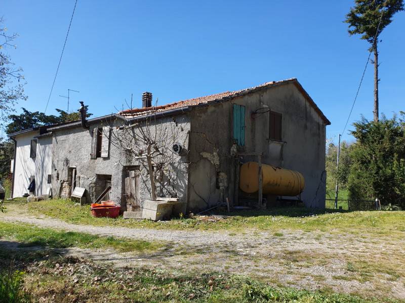 Rustico Rimini, Rimini