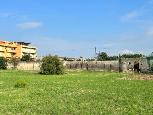  - foto 6