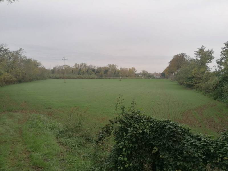 Terreno agricolo Selbagnone, Forlimpopoli