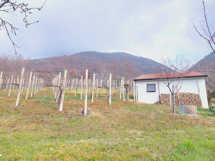  - foto 5