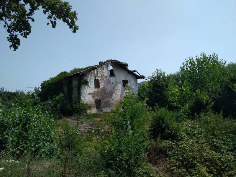 Altro, Carpi