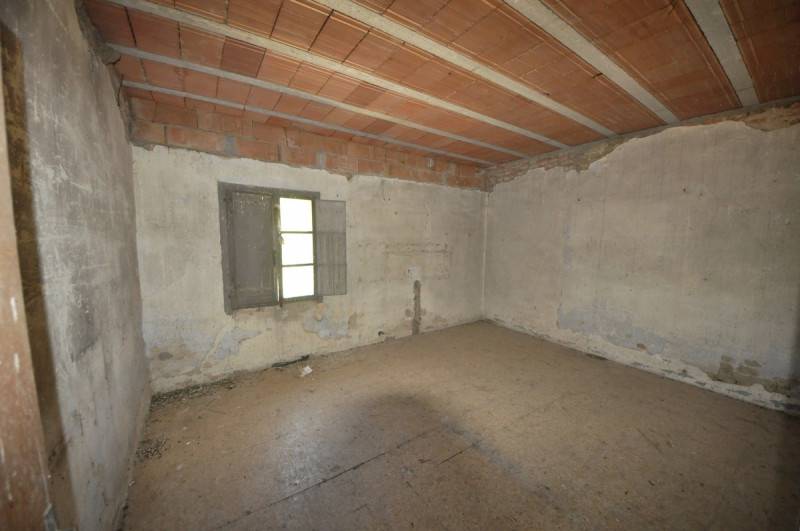 Rustico Tasso, Terranuova Bracciolini