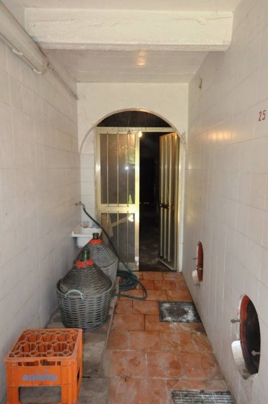  - foto 4