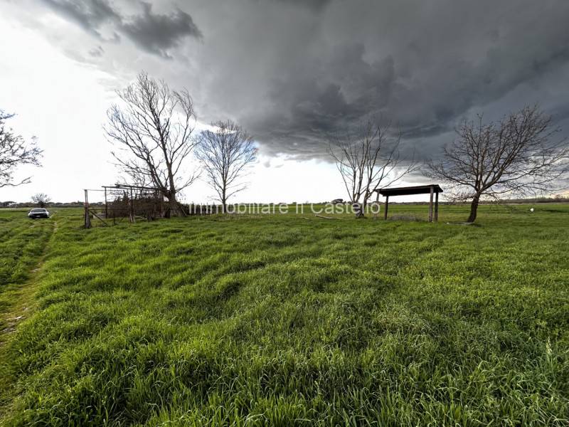 Altro Panicarola, Castiglione del Lago