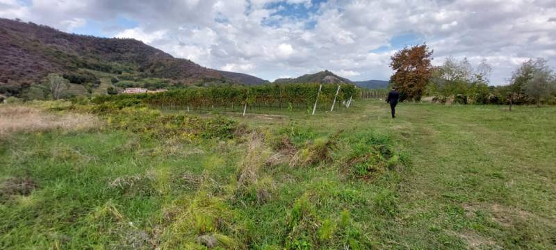 Terreno agricolo Galzignano Terme, Galzignano Terme
