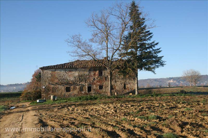 Rustico Sinalunga, Sinalunga