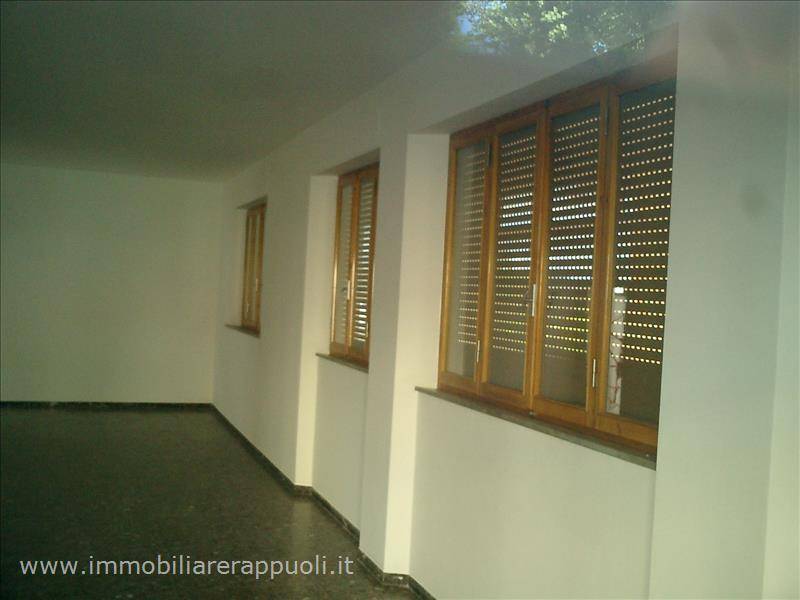  - foto 2