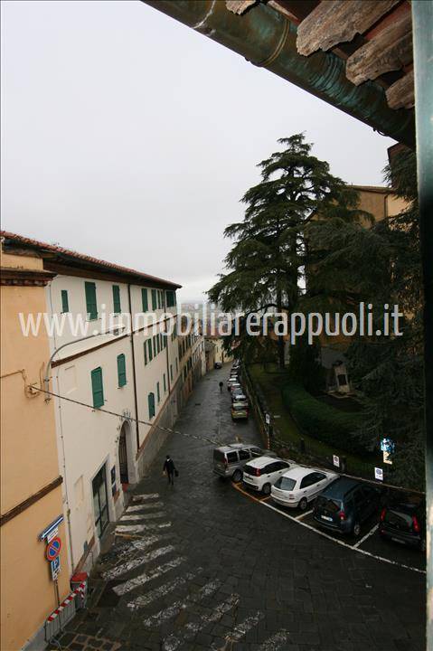  - foto 4