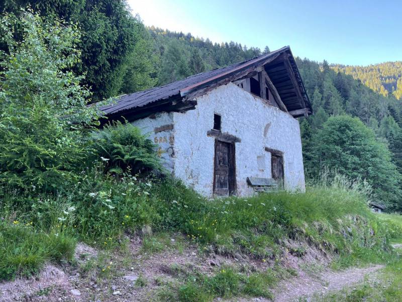  - foto 2
