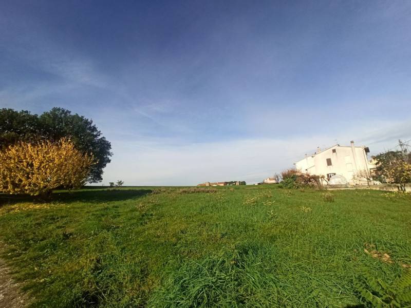 Altro Sanfatucchio, Castiglione del Lago