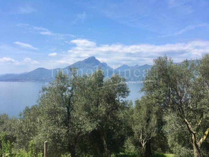 Altro Pai, Torri del Benaco