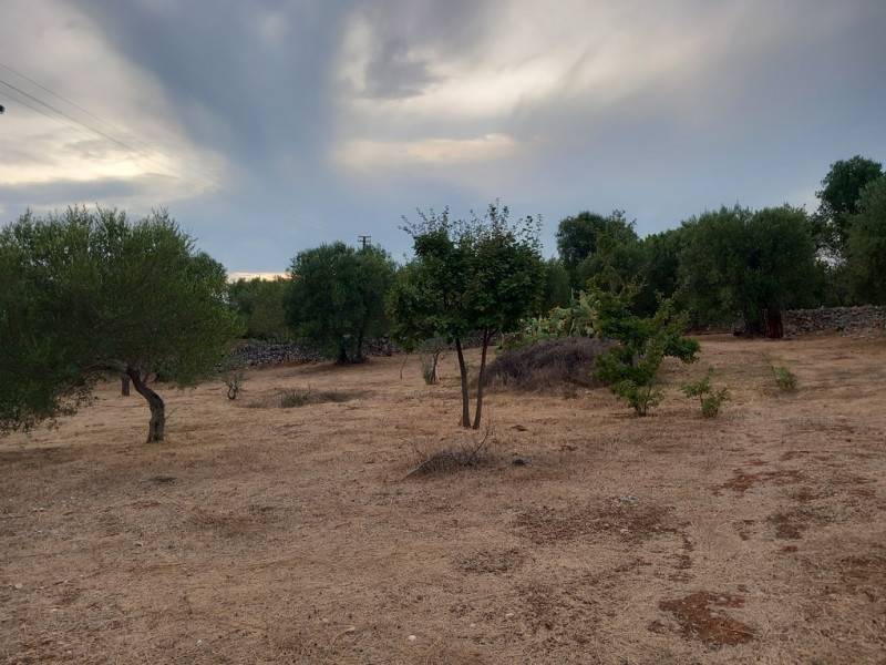  - foto 3