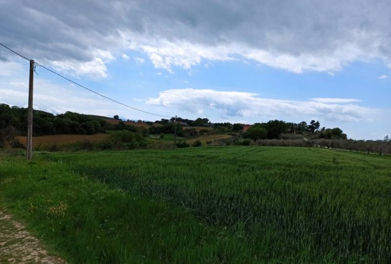  - foto 2