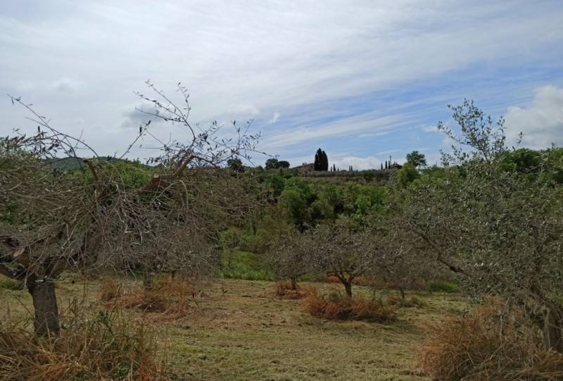  - foto 4