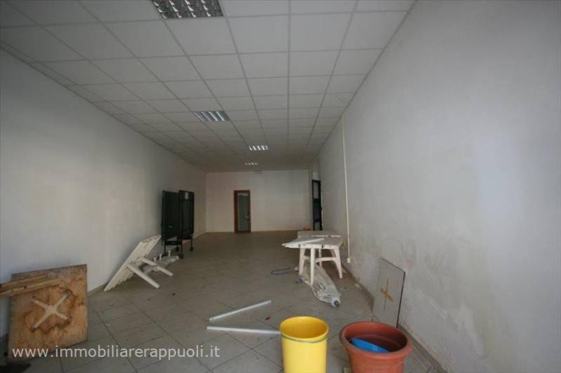  - foto 5