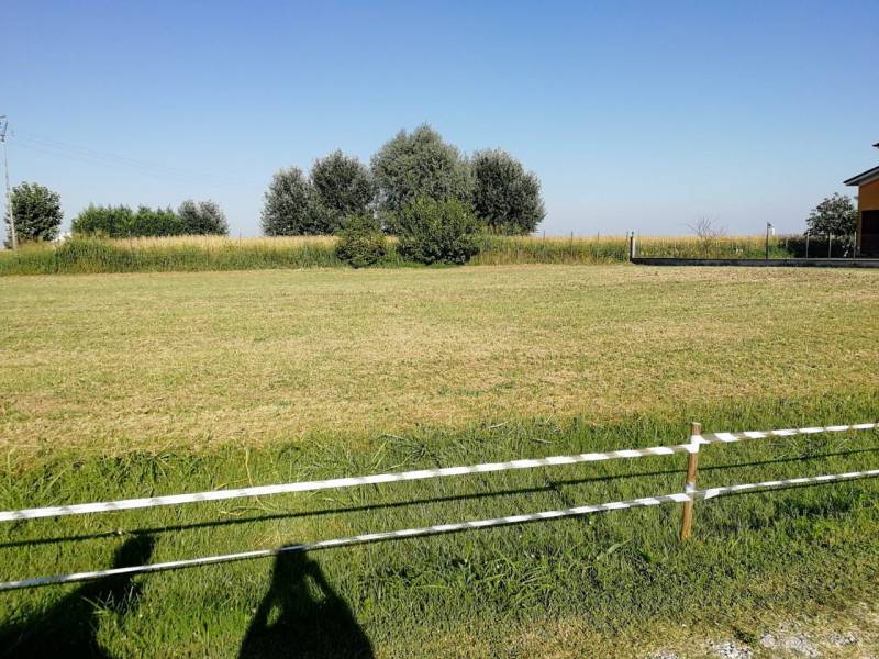 Altro Mardimago, Rovigo