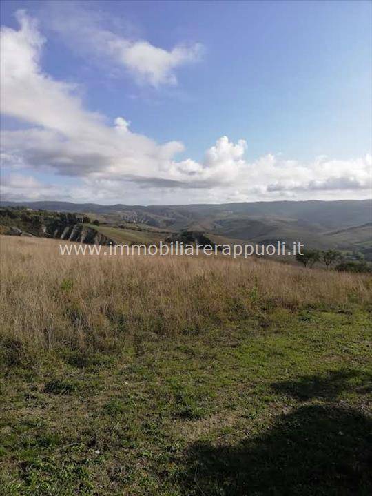 Attività  commerciale San Casciano dei Bagni, San Casciano dei Bagni