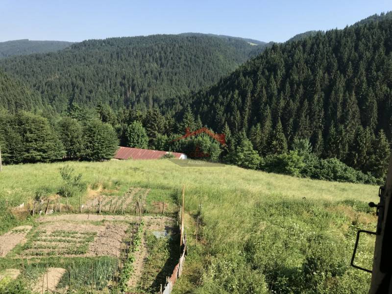 Rustico Gallio, Gallio