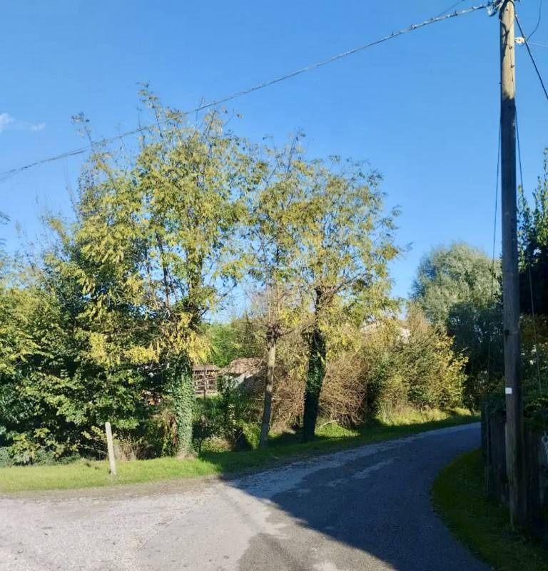  - foto 3