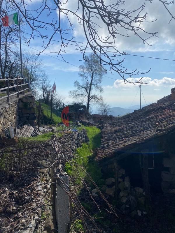  - foto 5