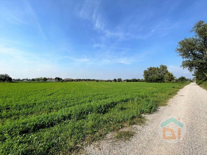 Terreno agricolo Gradisca d 'Isonzo, Gradisca d'Isonzo